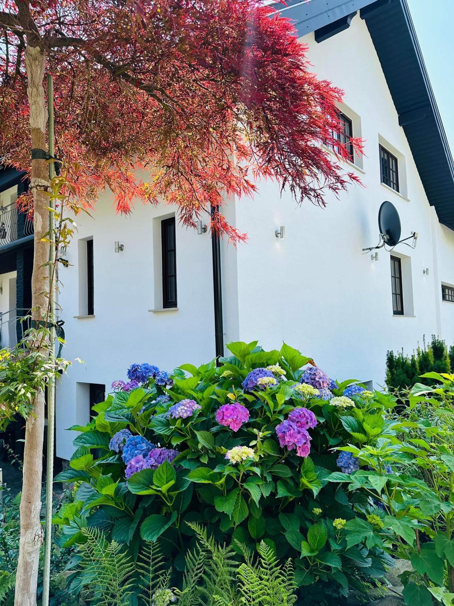 Solina Farm stay Solina (Podkarpackie)